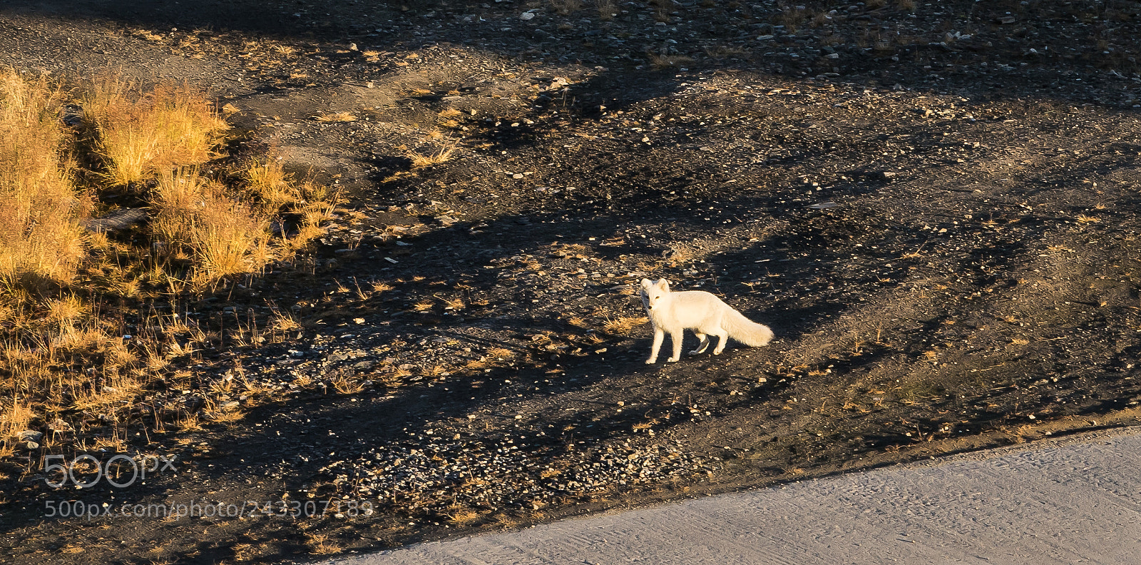 Sony a7R sample photo. At the piramiden photography