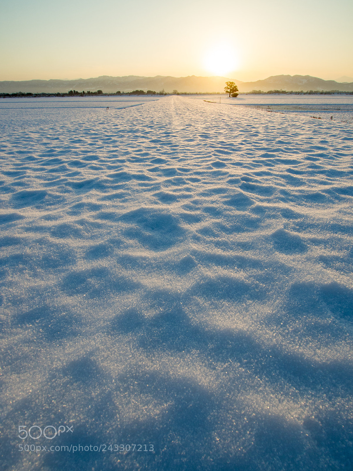 Olympus PEN E-PL5 sample photo. Snow road photography