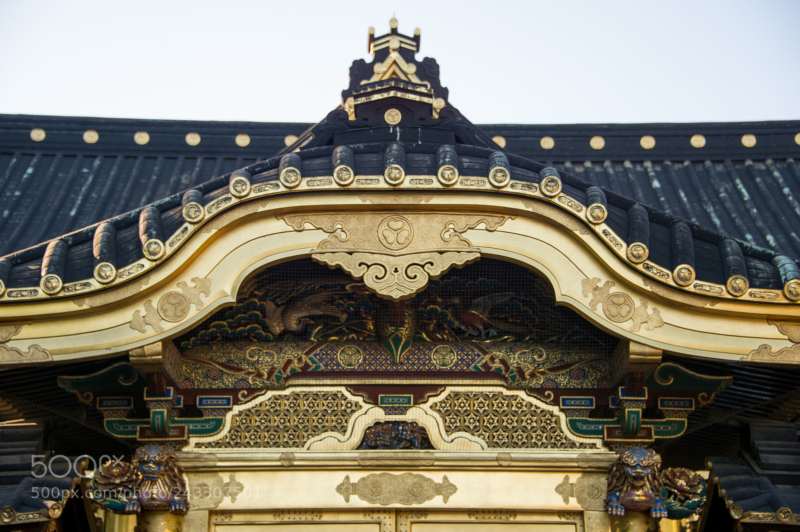 Nikon Df sample photo. Tokyo, japan photography