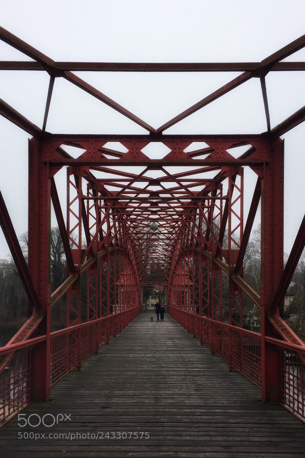 Apple iPhone 6 sample photo. Hike through tegel park photography