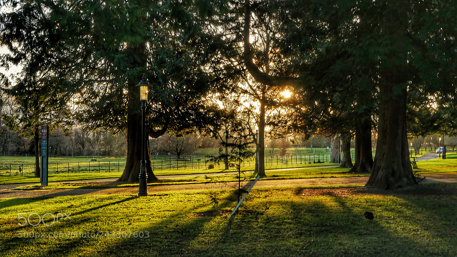 Panasonic Lumix DMC-GH4 sample photo. Nature photography