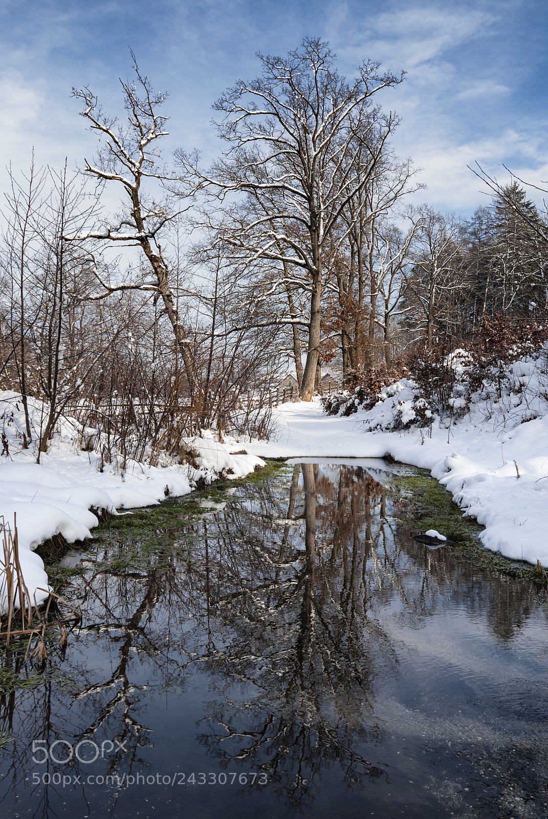 Nikon D80 sample photo. Wetland photography
