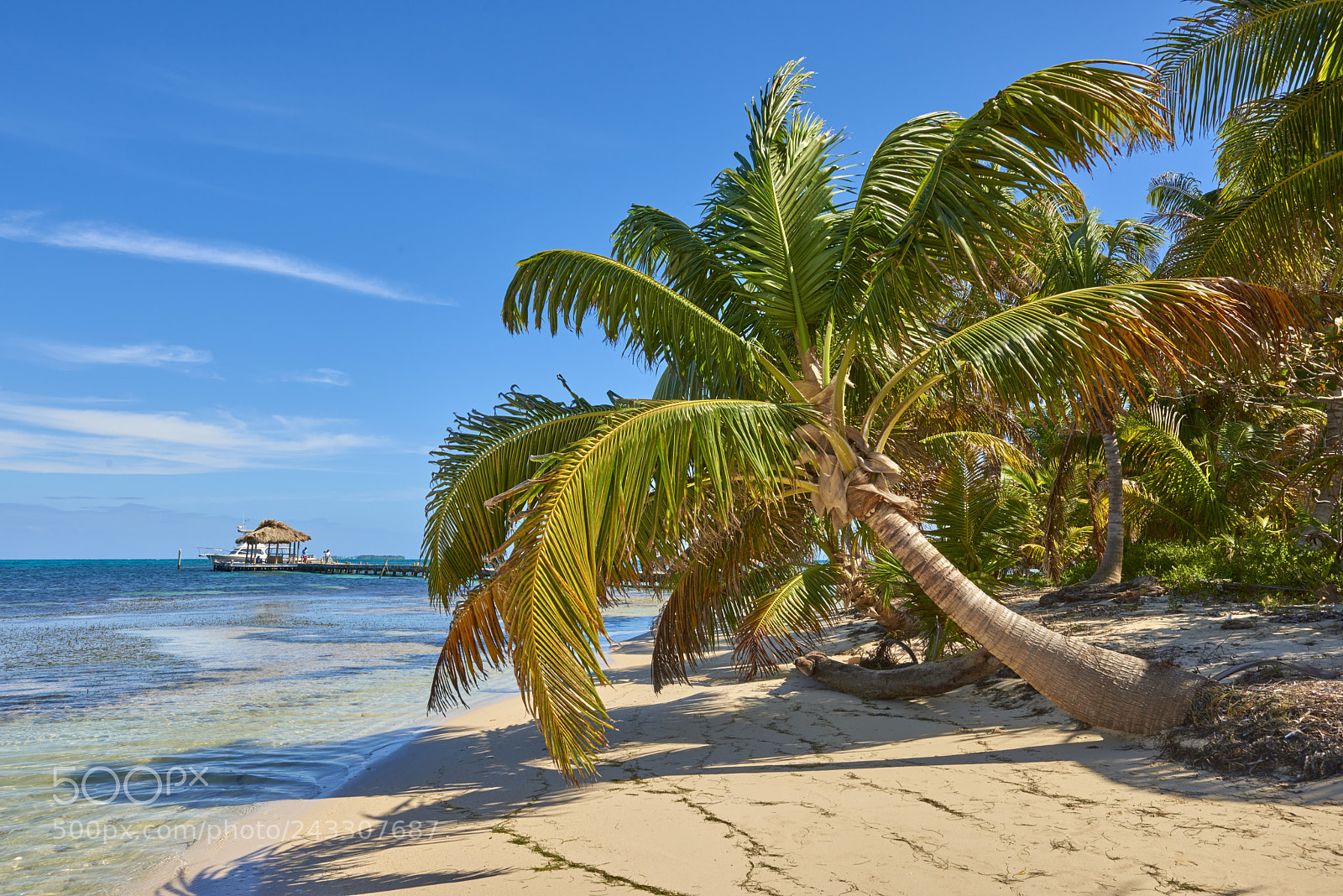 Nikon D810 sample photo. Belize cayes photography