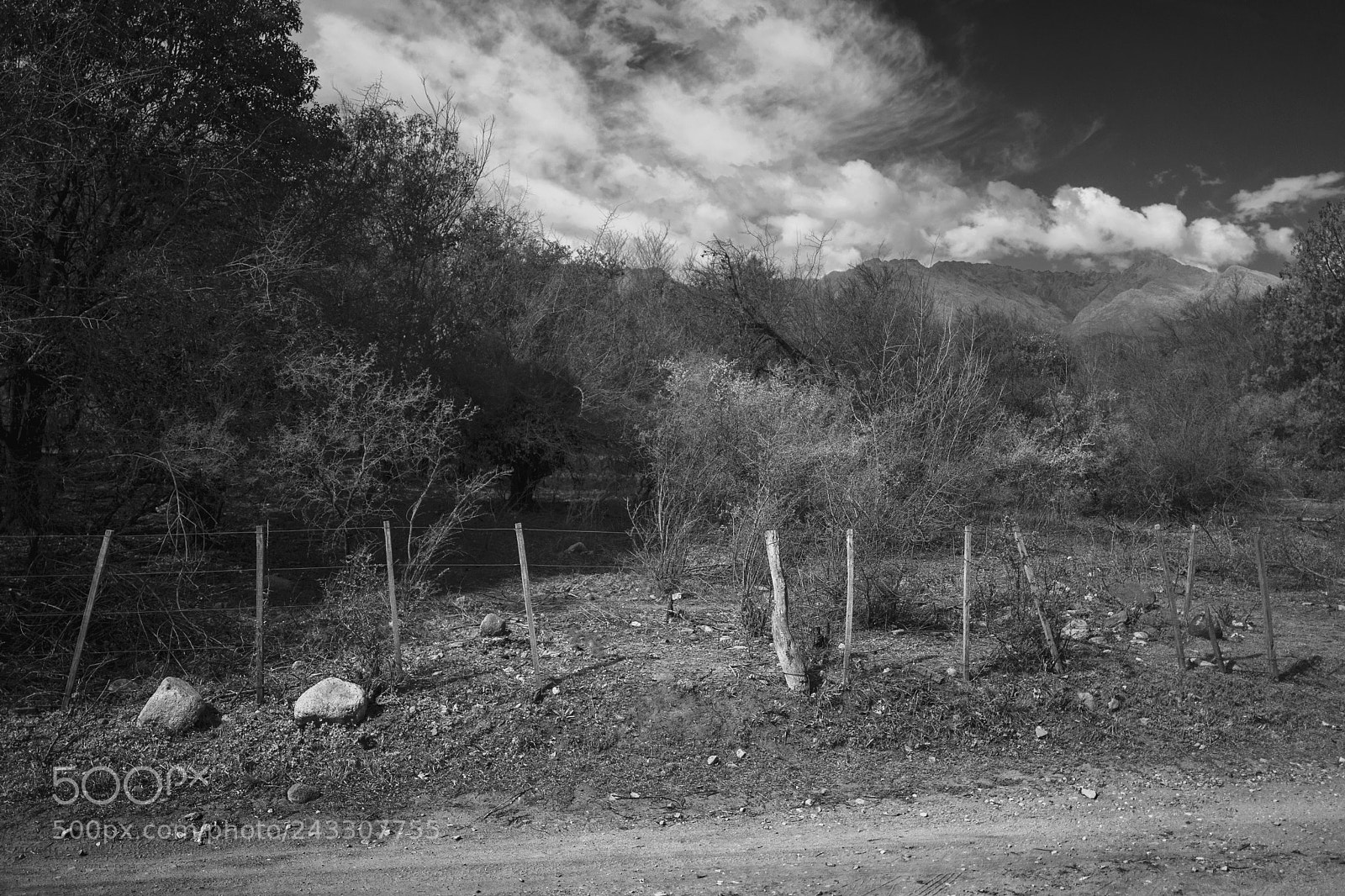 Leica Q (Typ 116) sample photo. Vecindario de las rabonas photography