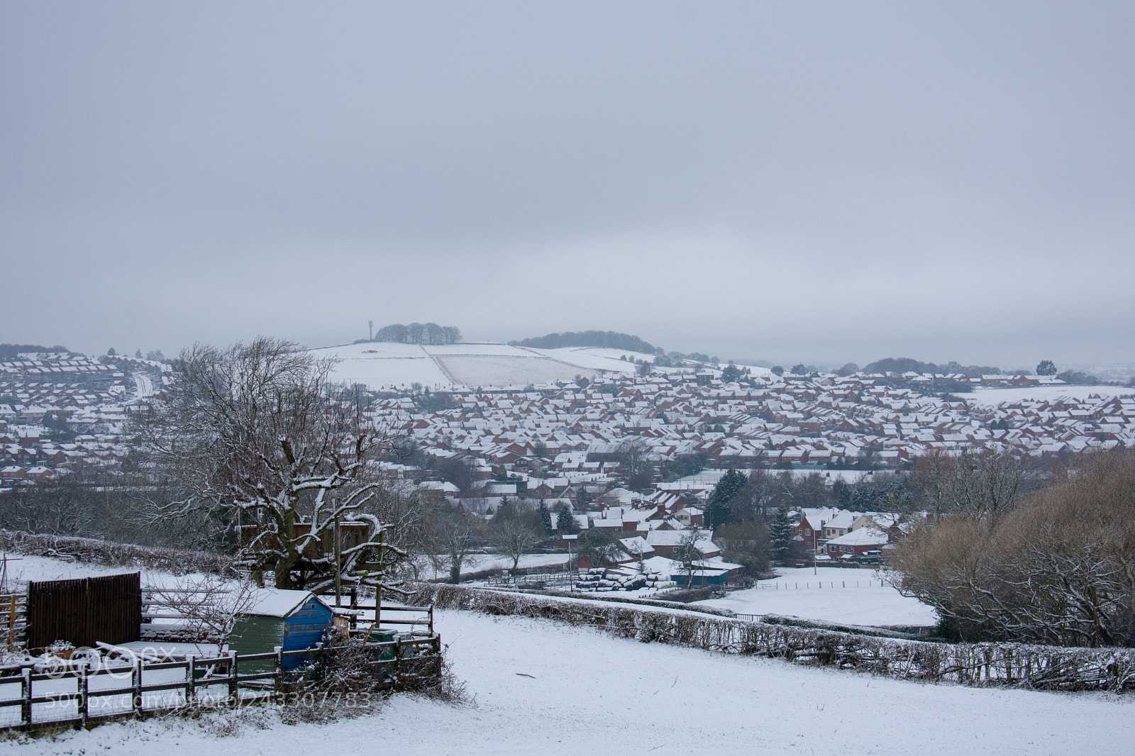 Nikon D3400 sample photo. Winter belper photography