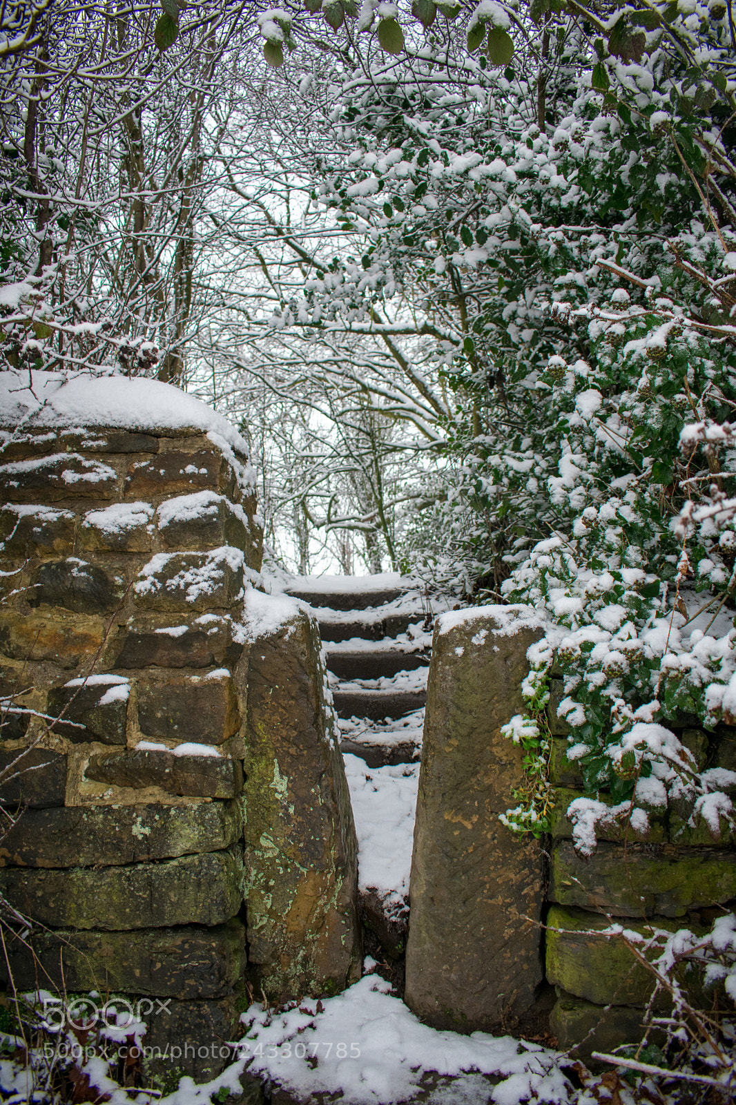 Nikon D3400 sample photo. Winter path photography