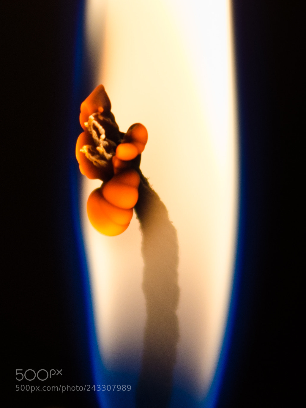 Nikon D5100 sample photo. Candle photography
