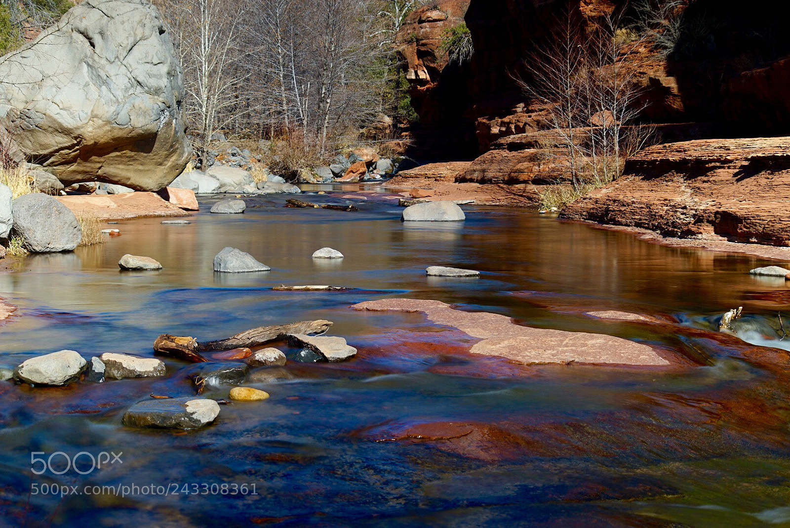 Sony a7 II sample photo. Colorful photography