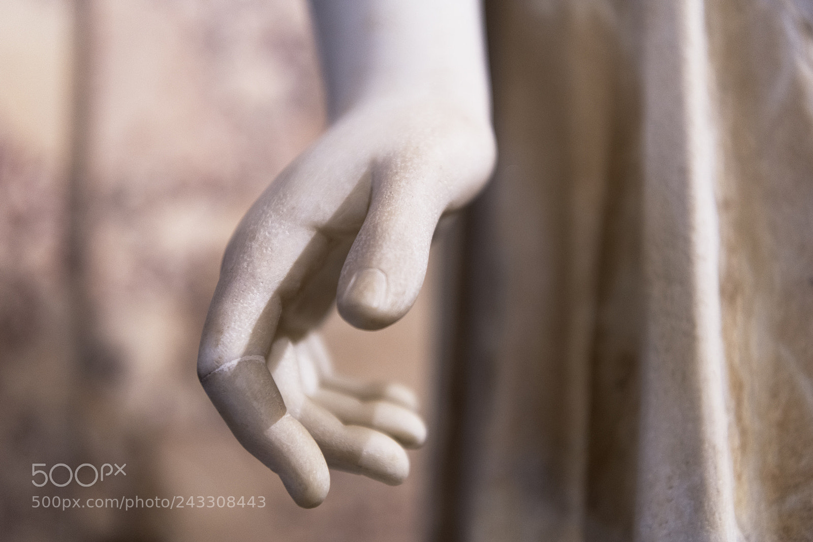 Nikon D850 sample photo. A hand at rome photography