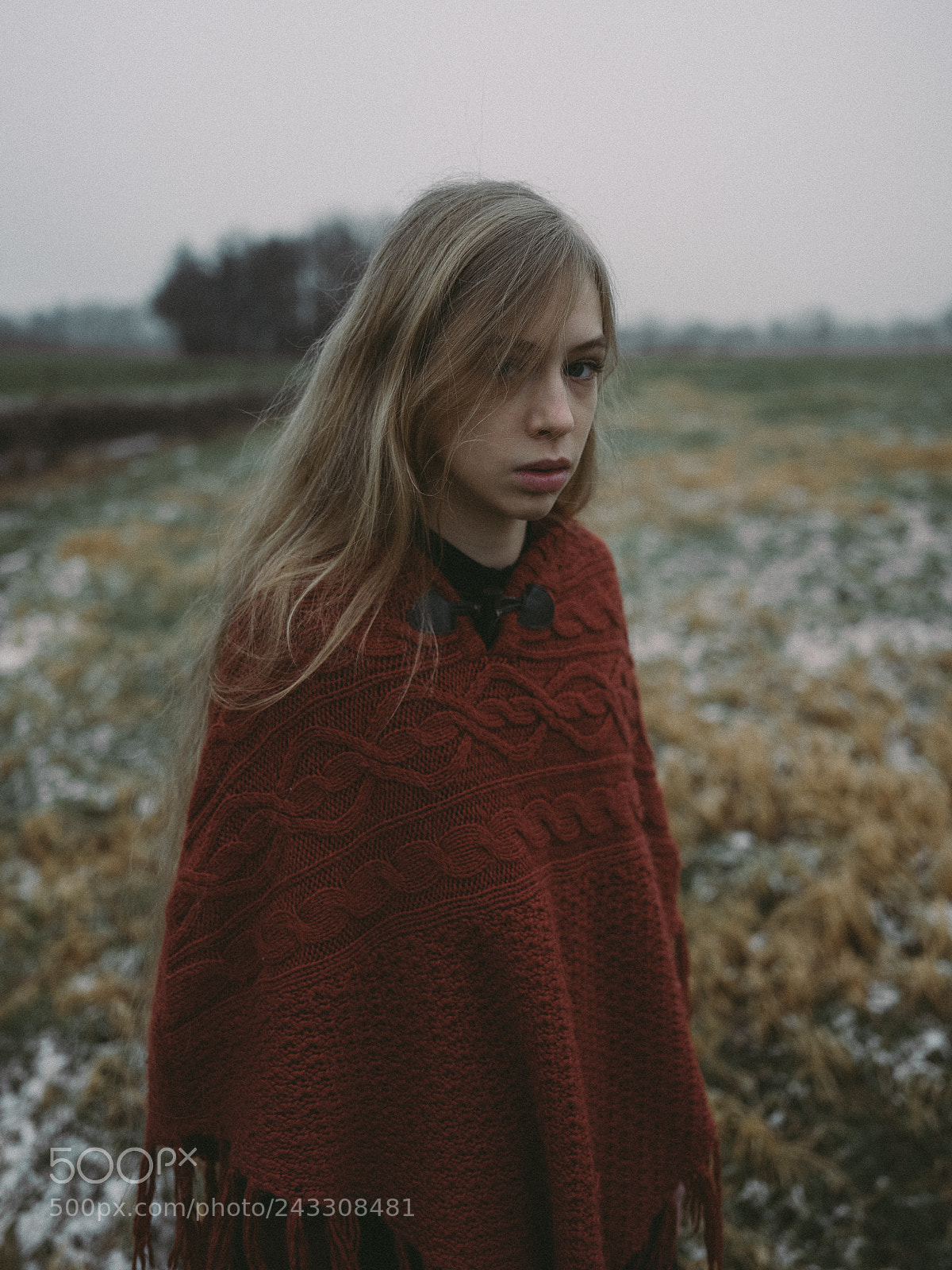 Fujifilm GFX 50S sample photo. Fields photography