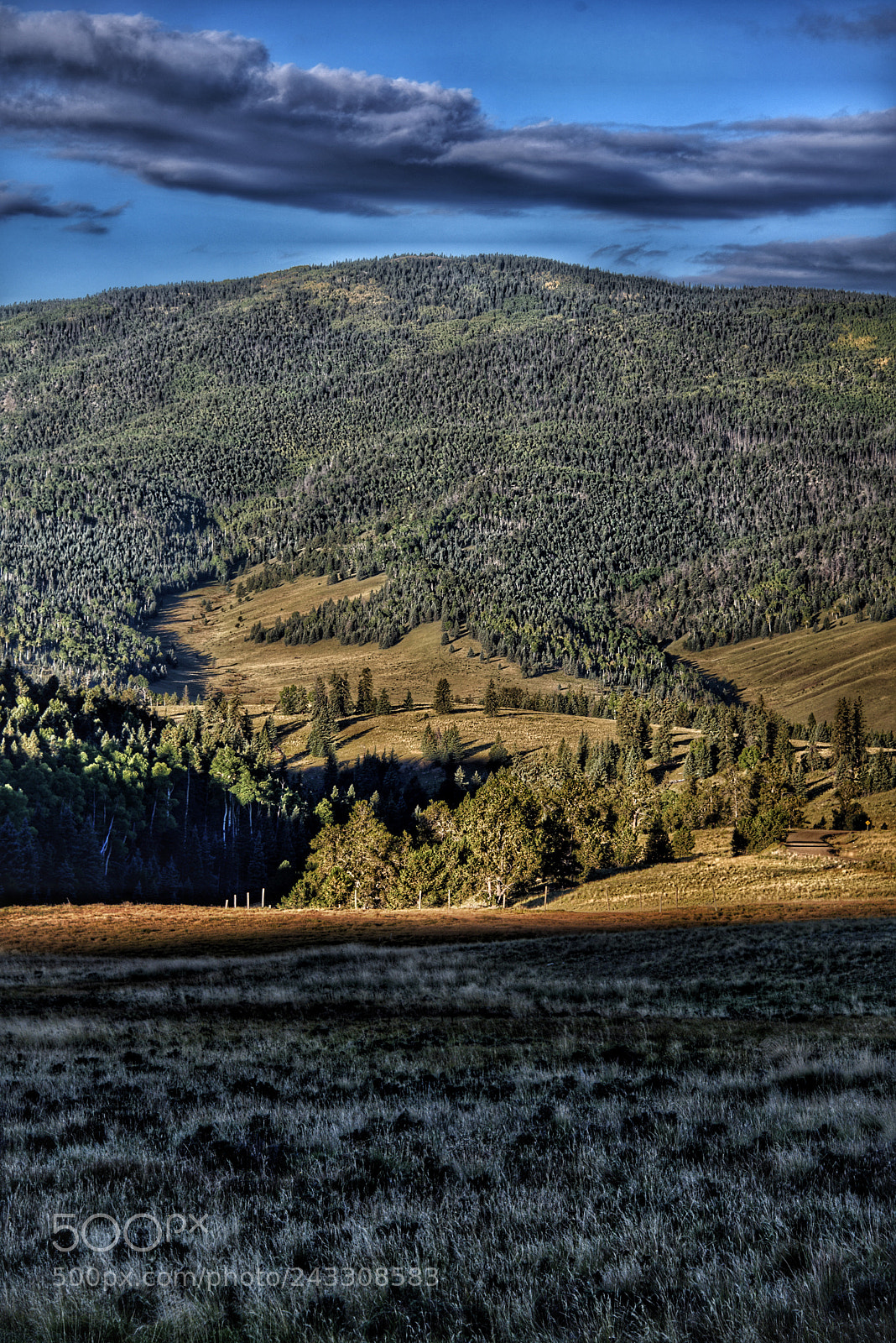 Nikon D810 sample photo. Valle vidal, new mexico photography