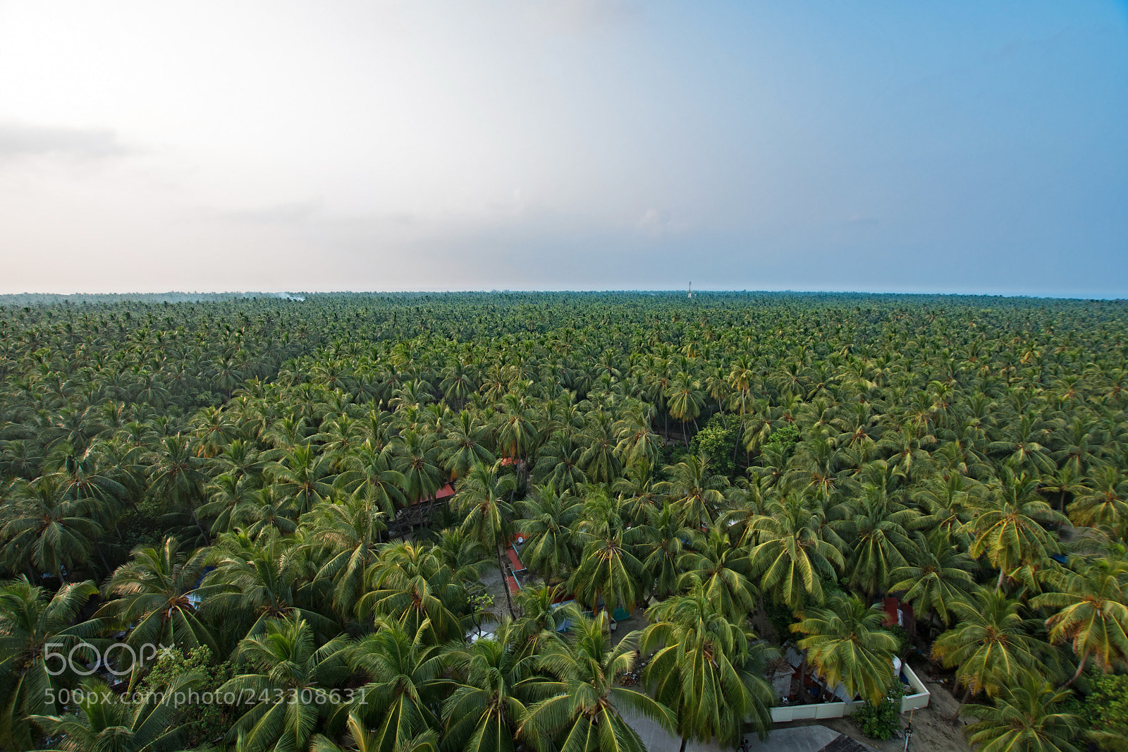 Nikon D500 sample photo. Kavaratti  , lakshadweep islands photography