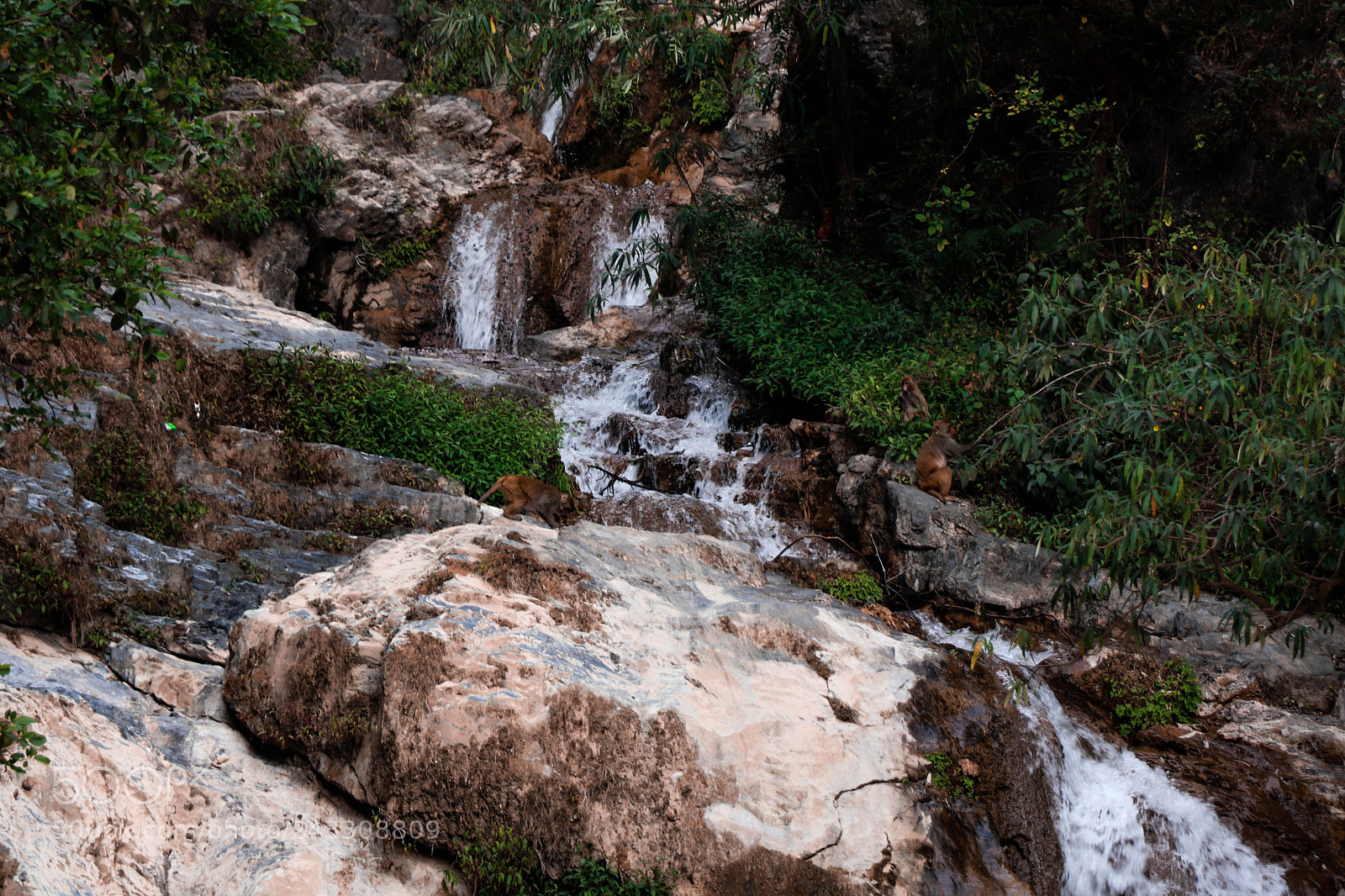 Canon EOS 77D (EOS 9000D / EOS 770D) sample photo. Monkeys on a waterfall. photography