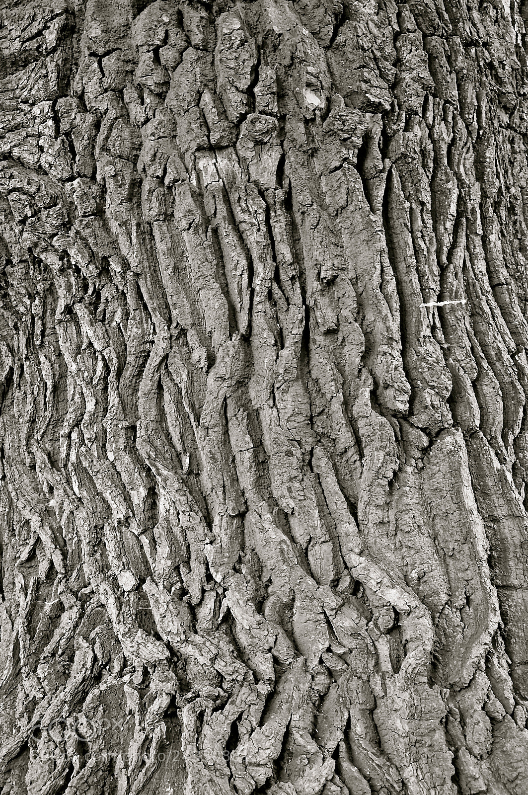 Nikon D90 sample photo. Nature iii photography