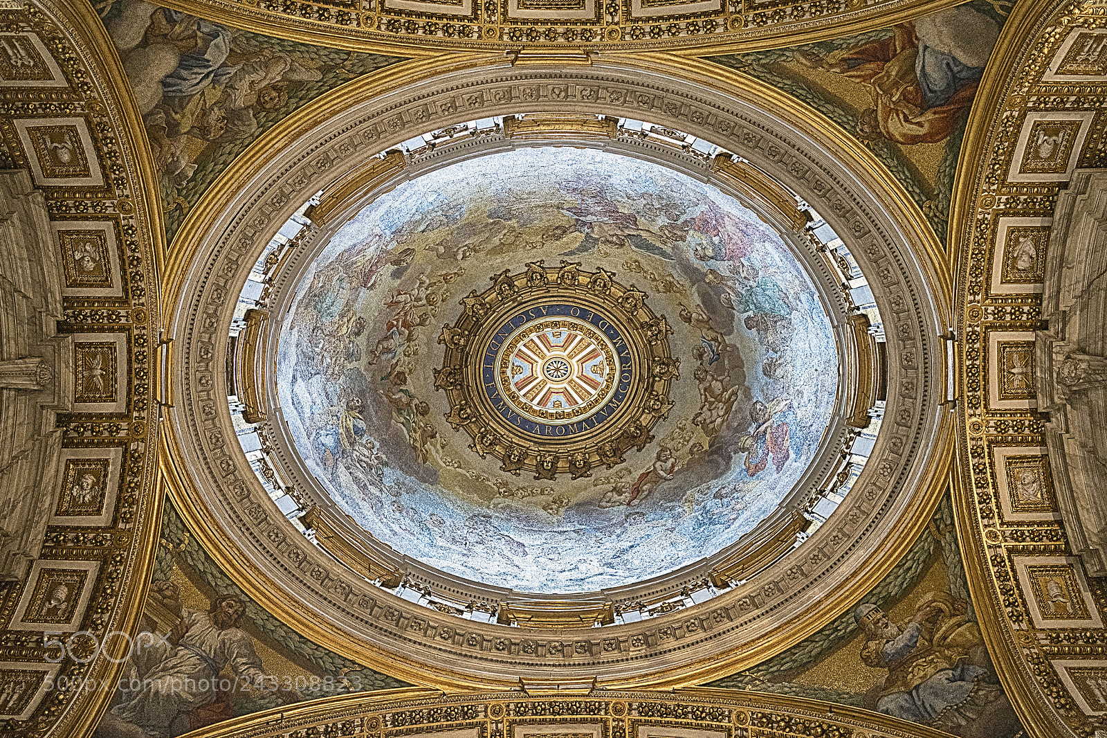 Nikon D850 sample photo. Looking up photography