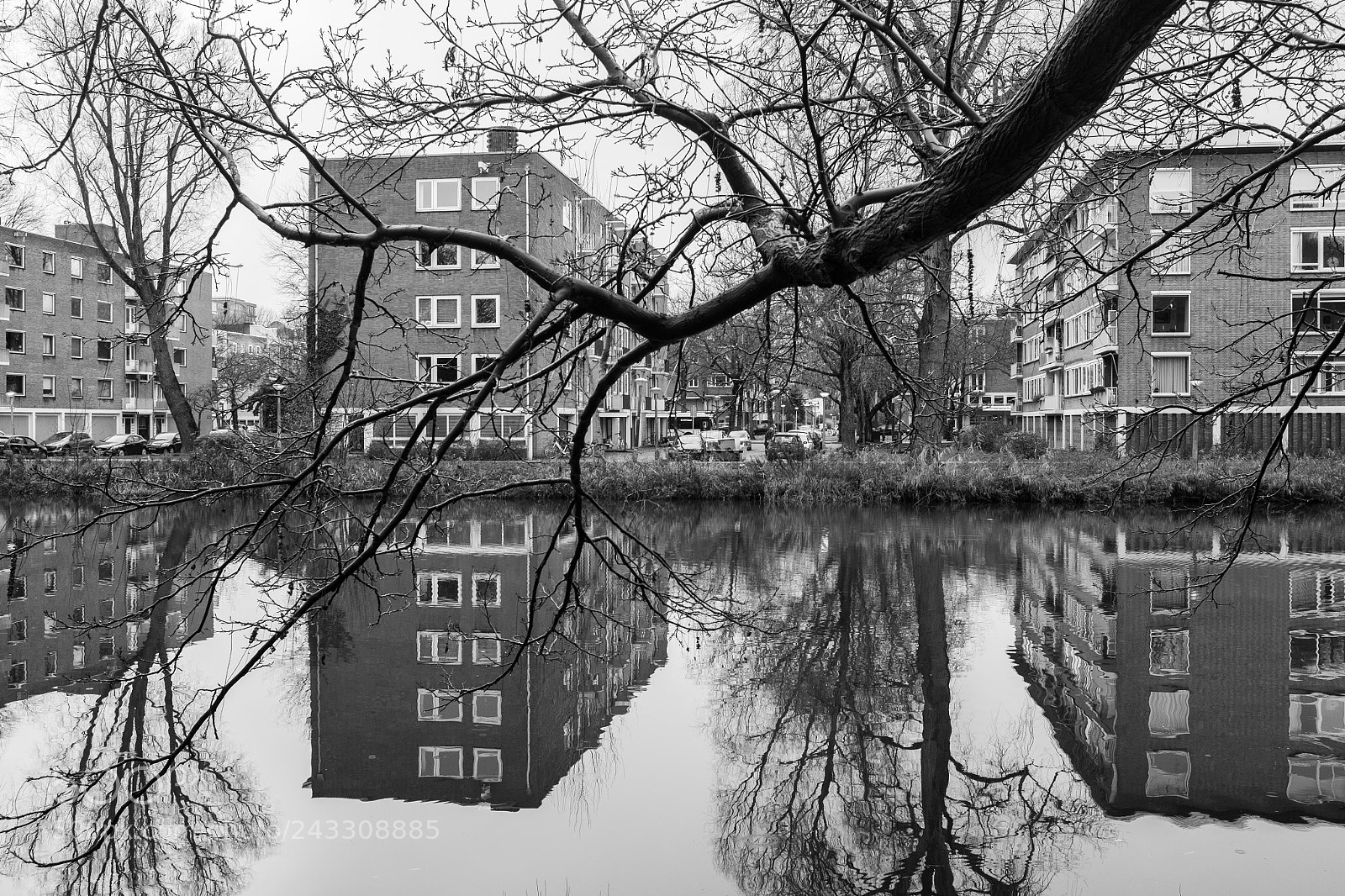 Fujifilm X100T sample photo. Reflection  photography
