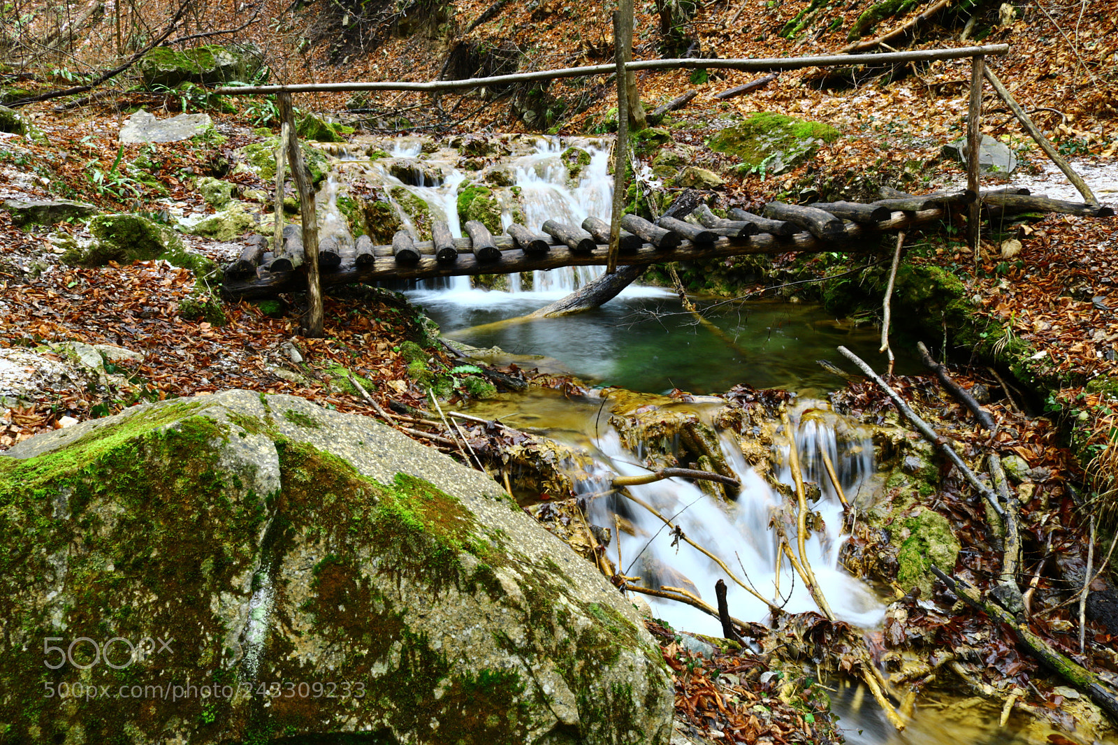 Canon EOS 750D (EOS Rebel T6i / EOS Kiss X8i) sample photo. Wooden bridge photography