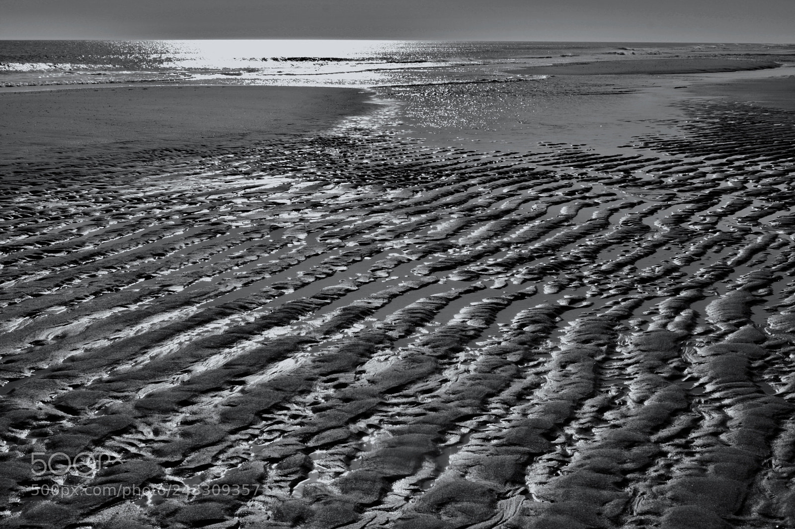 Canon EOS 40D sample photo. Low tide photography