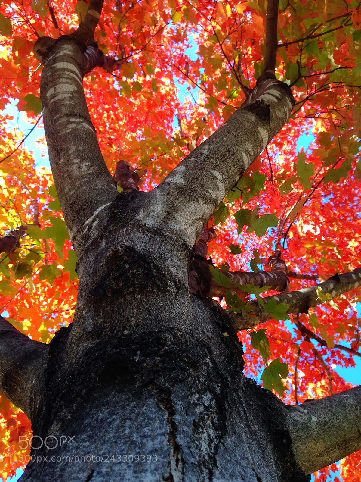 Apple iPhone 5 sample photo. 9•27•14 // bridgewater college photography