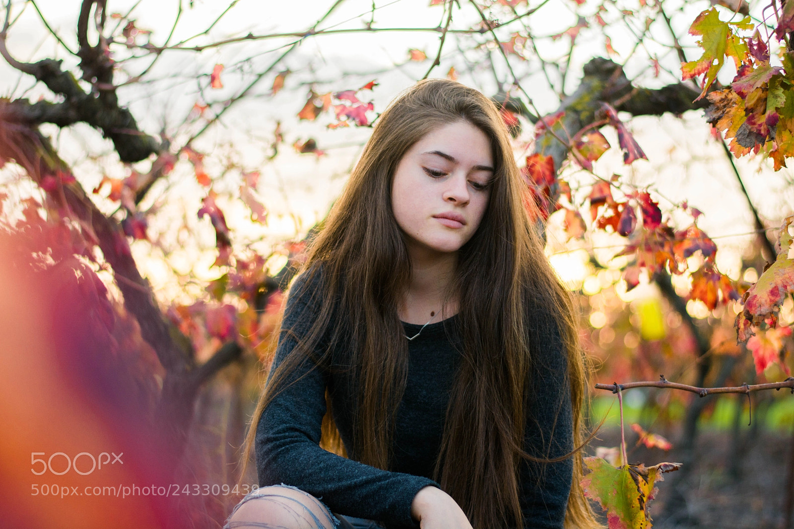 Nikon D7100 sample photo. Michal photography