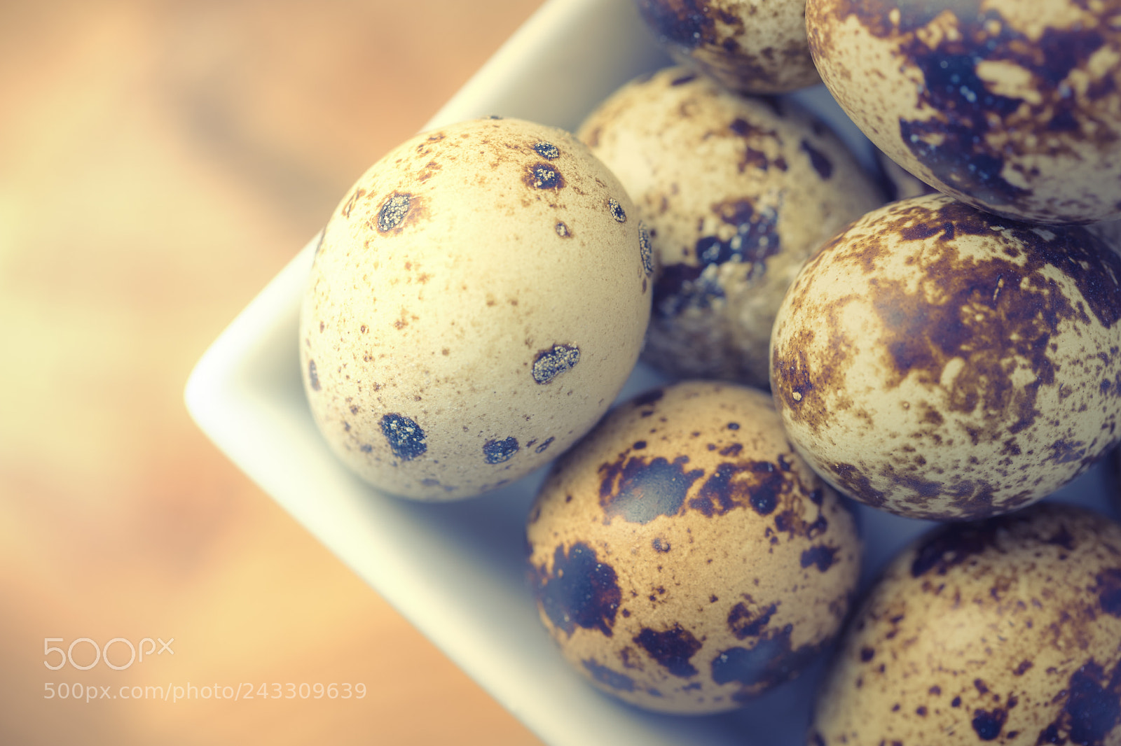 Canon EOS 6D Mark II sample photo. Quail egg macro photography
