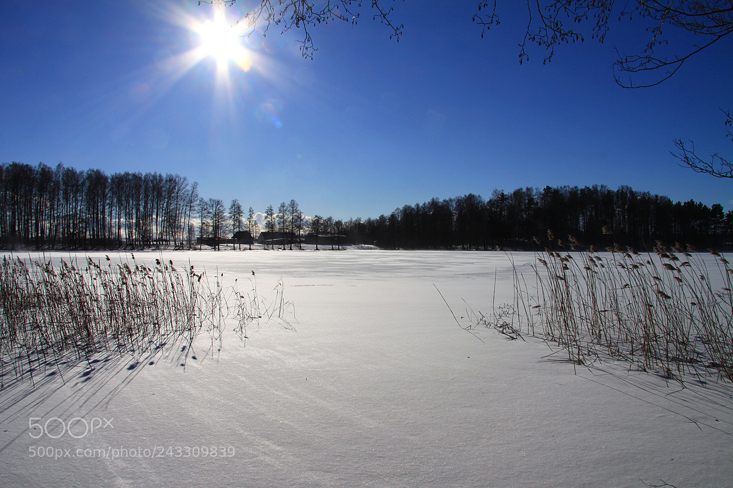 Canon EOS 50D sample photo. Winter photography