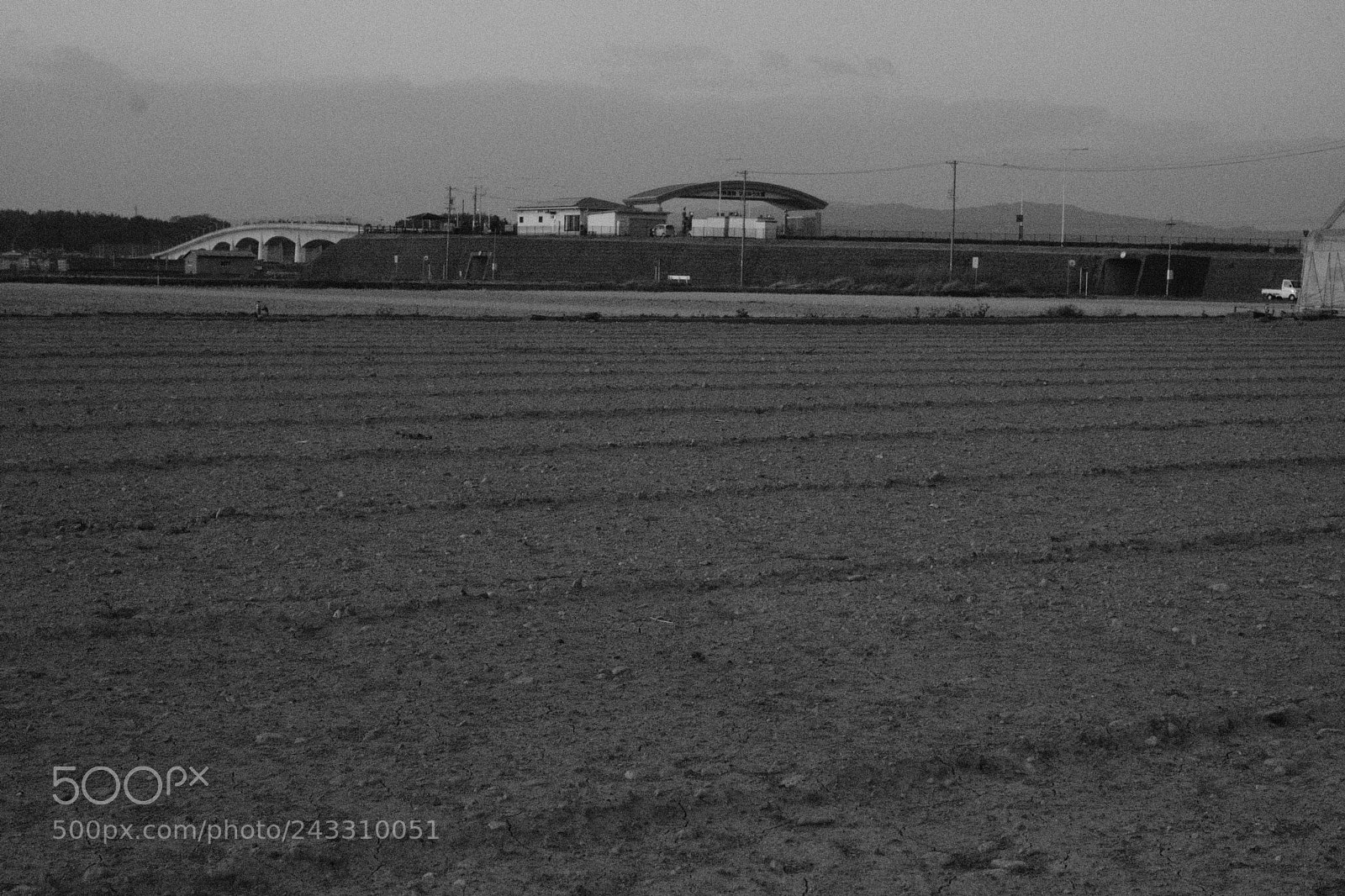 Fujifilm X-Pro2 sample photo. Japanese rice field photography