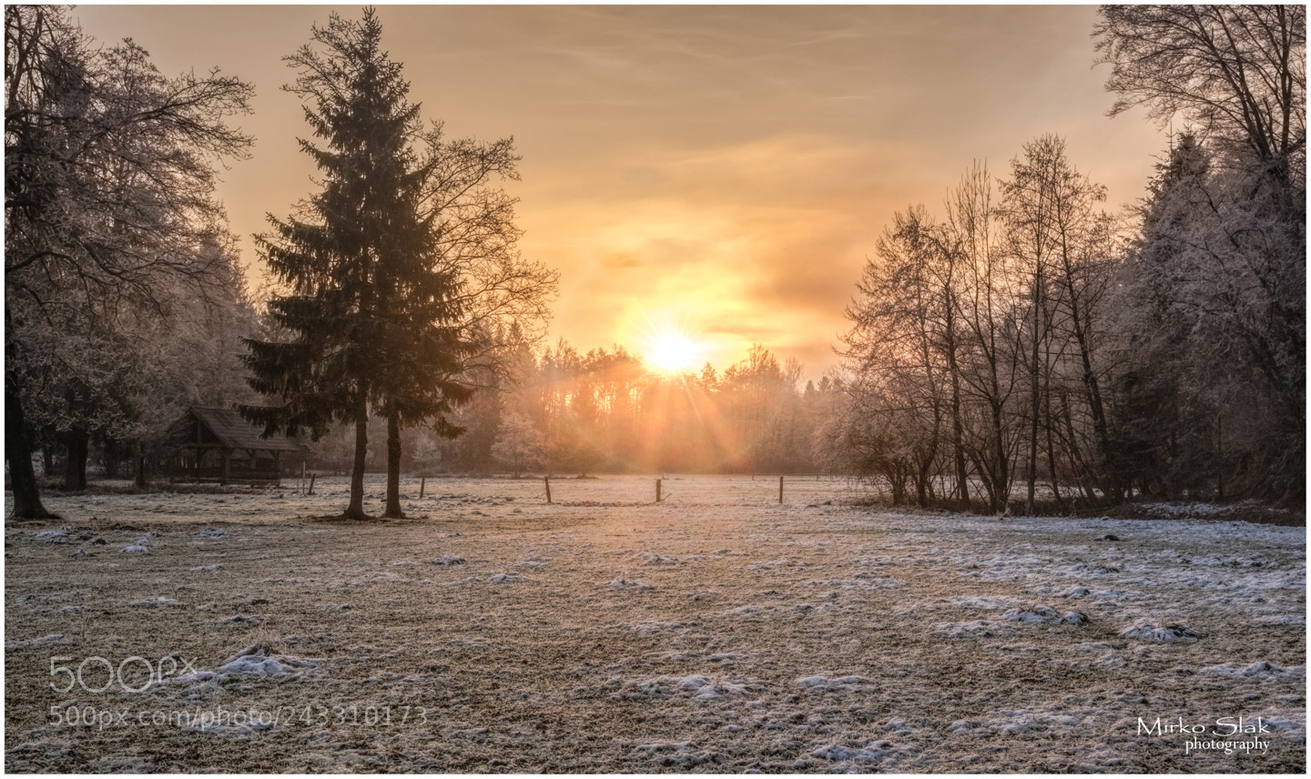 Fujifilm X-T1 sample photo. Cold morning photography