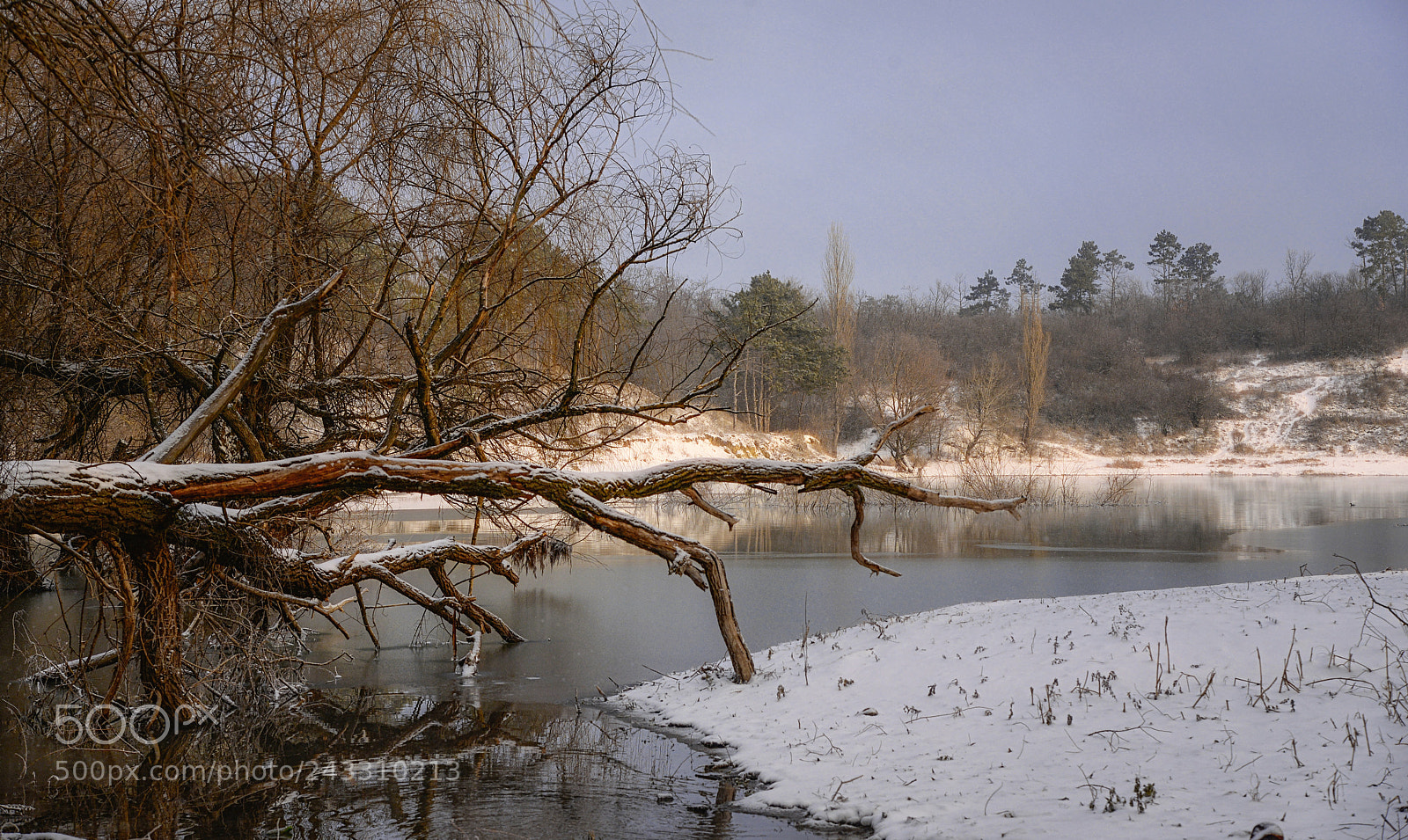 Nikon D610 sample photo. January in the crimea. photography