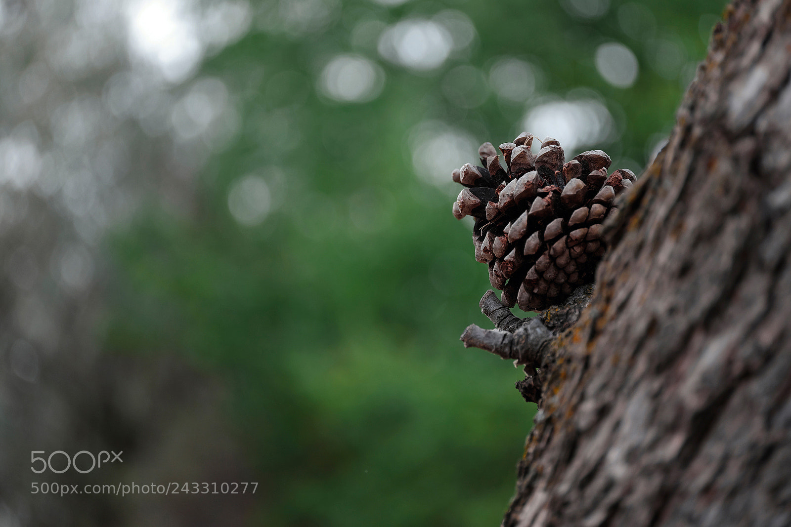 Fujifilm X-T1 sample photo. Dsf photography