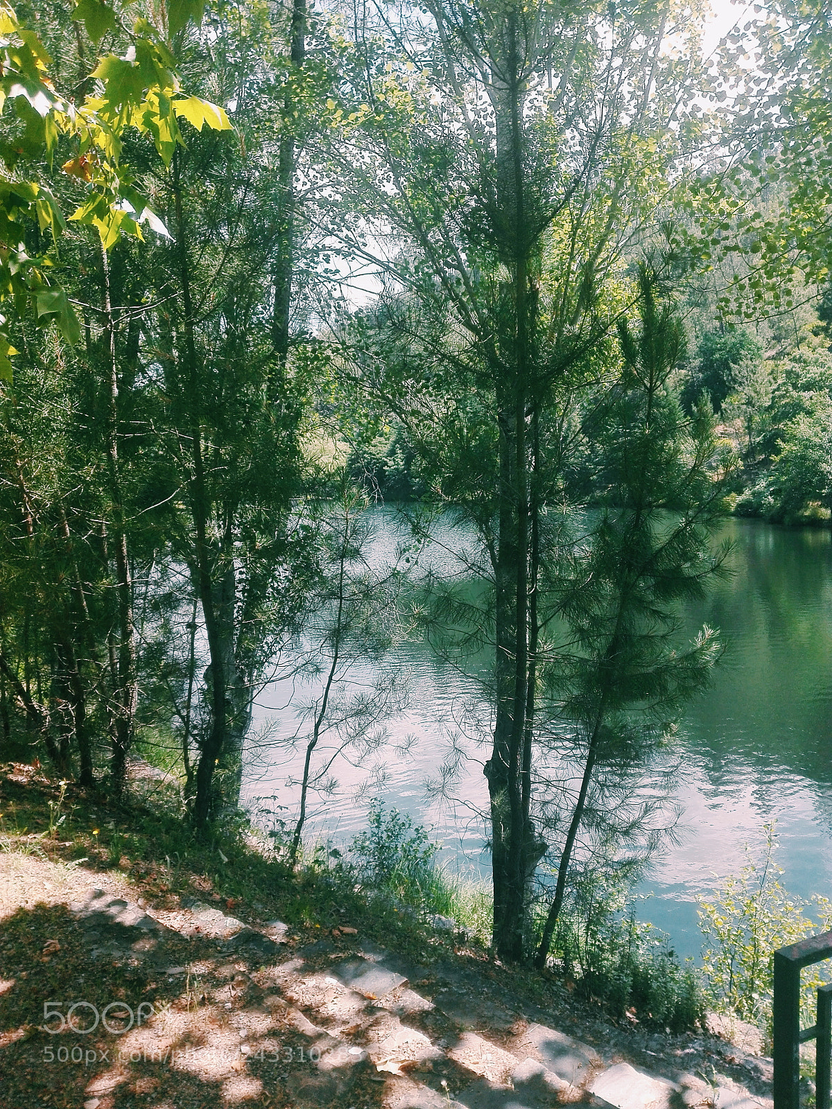 HUAWEI P8 Lite sample photo. Inspiring nature photography