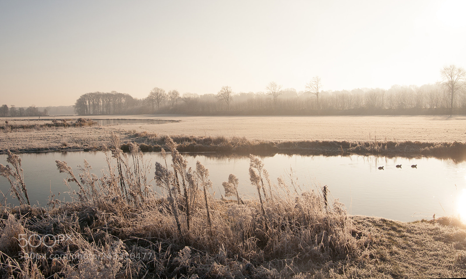 Canon EOS 5D sample photo. Frozen pond photography