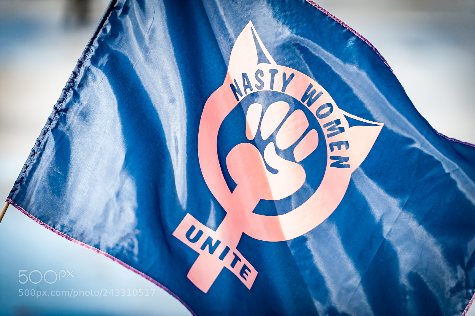 Nikon D3 sample photo. Womens' march on washington photography