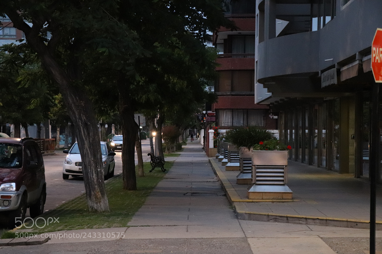 Canon EOS 77D (EOS 9000D / EOS 770D) sample photo. Img photography