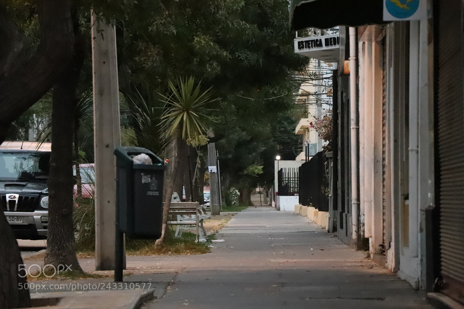 Canon EOS 77D (EOS 9000D / EOS 770D) sample photo. Img photography