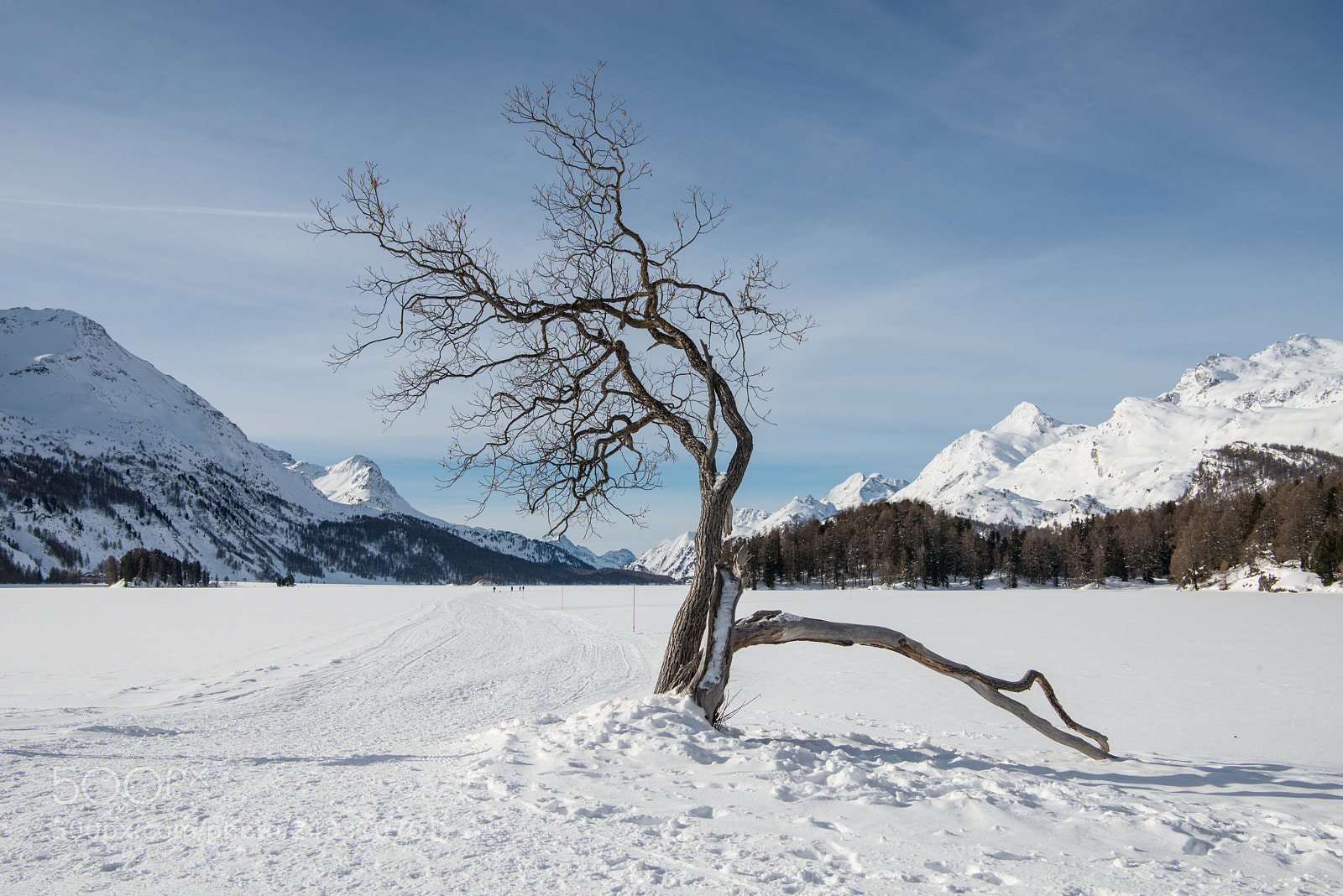 Nikon D800 sample photo. Frozen lake photography