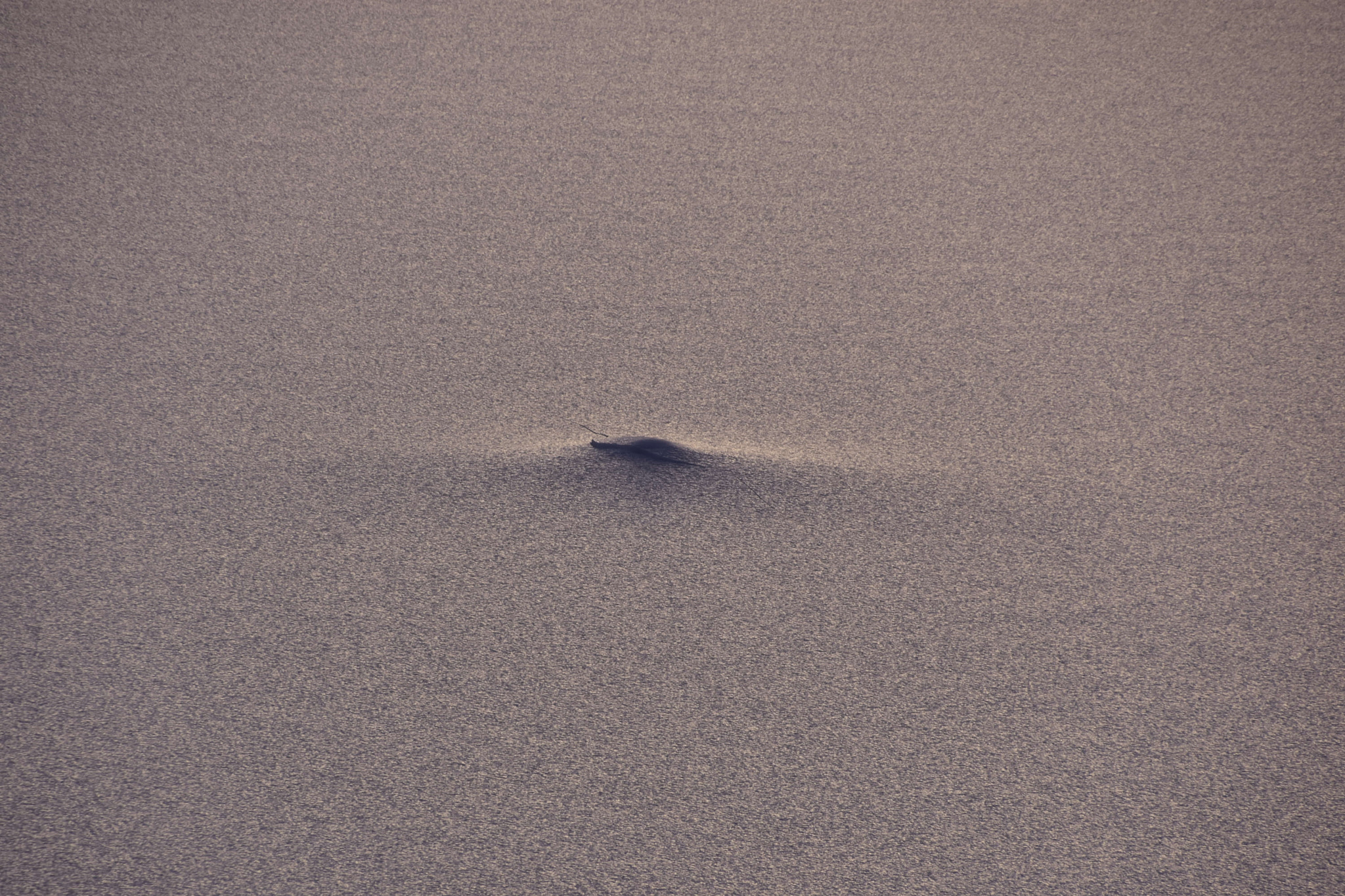 Nikon D7200 sample photo. Ice photography