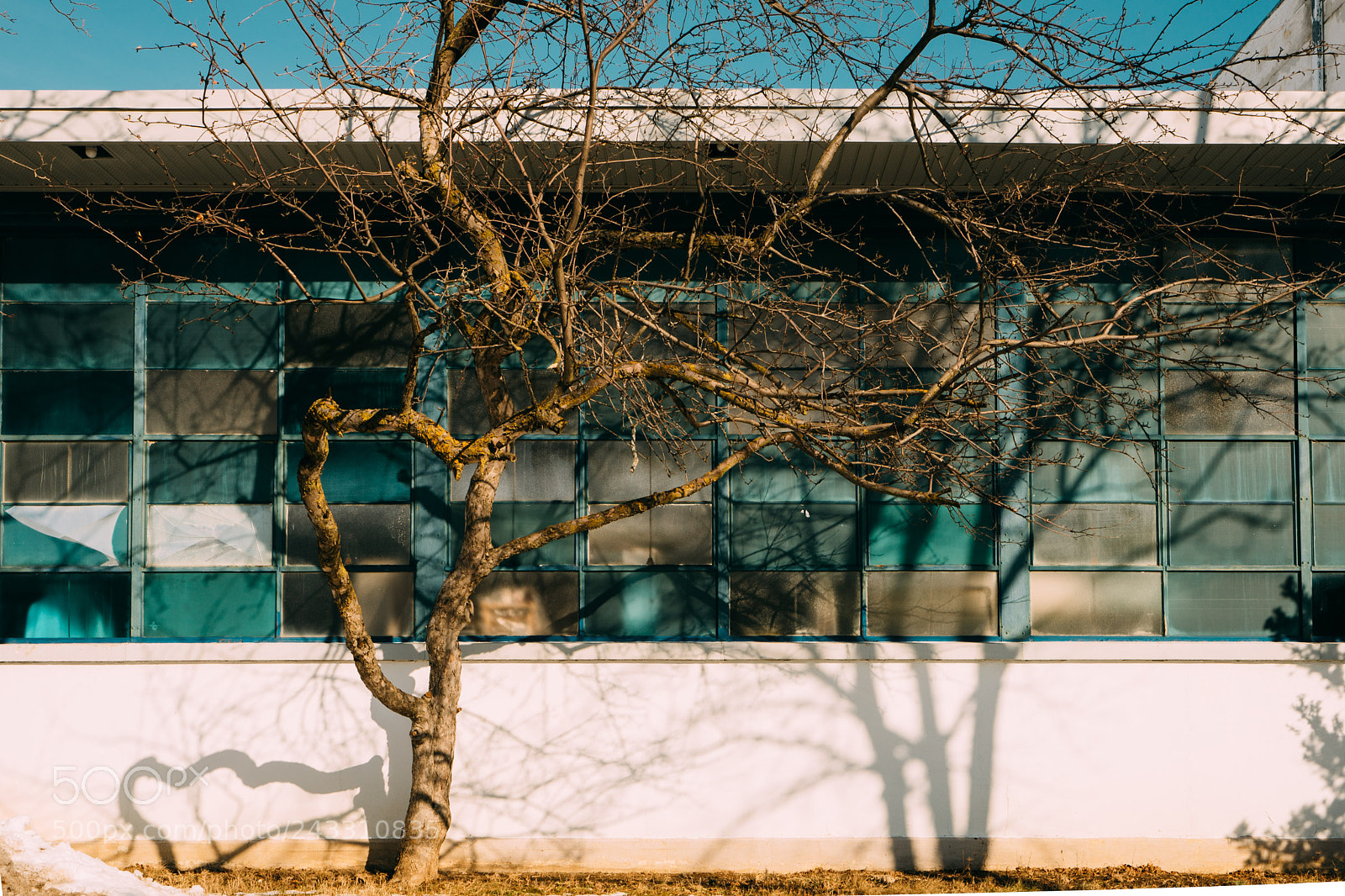 Sony a7 II sample photo. Dry cleaning photography