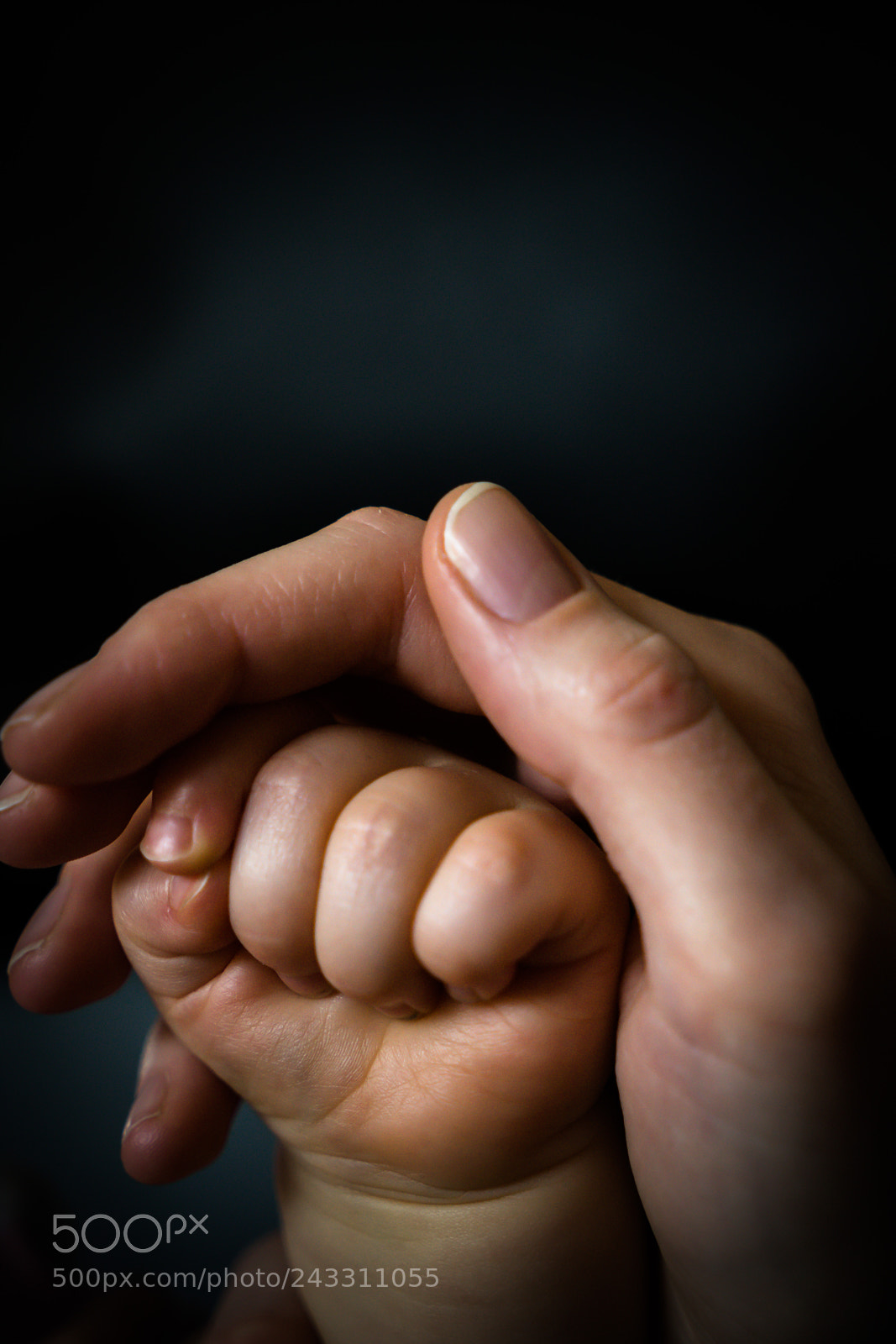 Sony a7 II sample photo. Mom and baby hand 2 photography