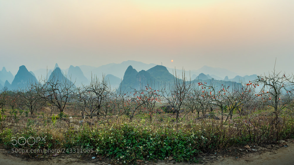 Nikon D610 sample photo. Untitled photography