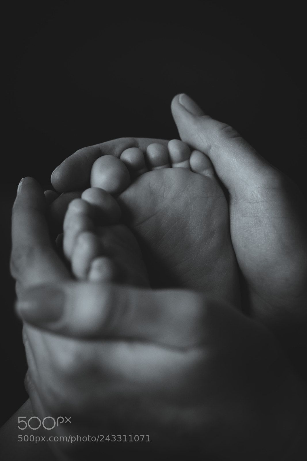 Sony a7 II sample photo. Mom and baby feet photography