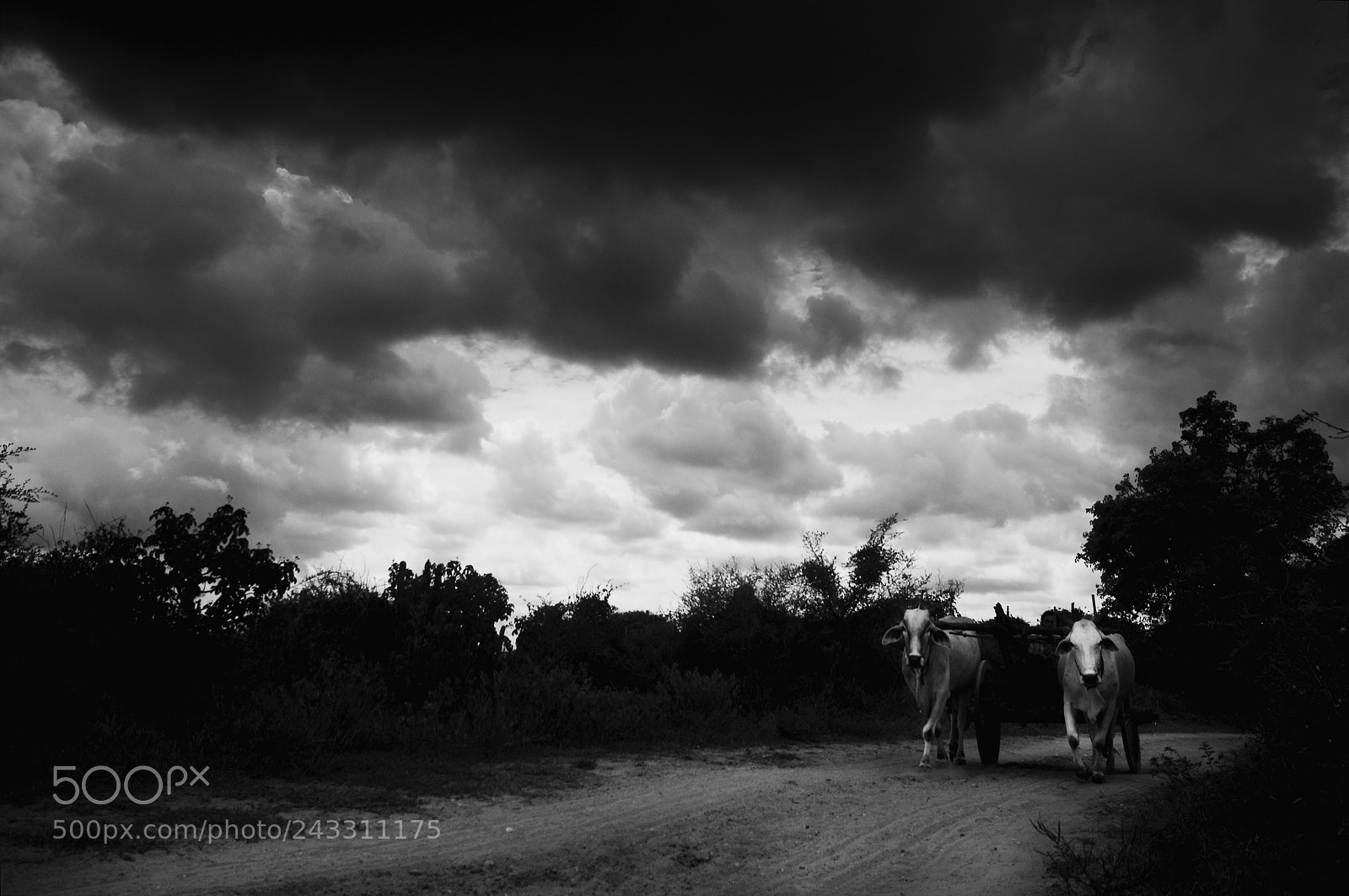 Nikon D300S sample photo. Bagan photography