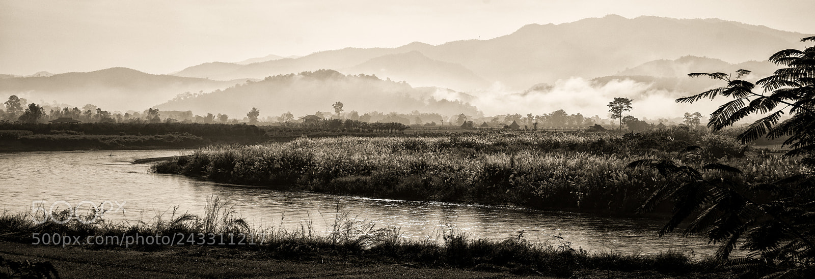 Sony a7R II sample photo. Early morning mist photography