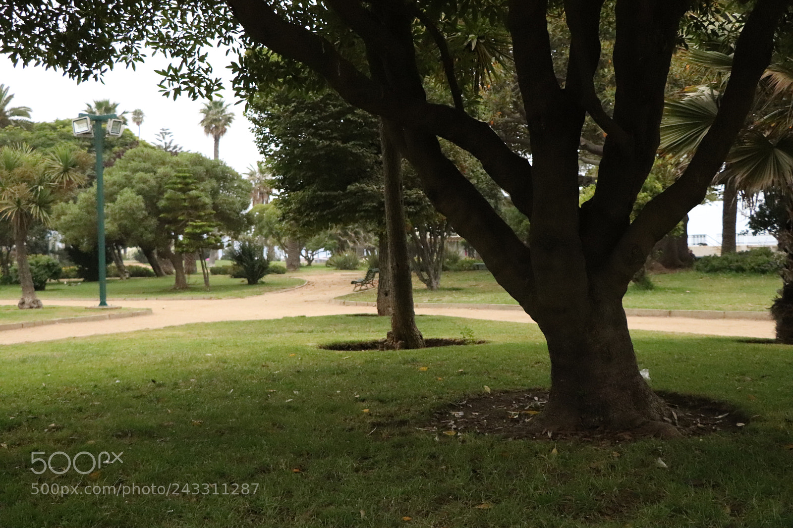 Canon EOS 77D (EOS 9000D / EOS 770D) sample photo. Img photography