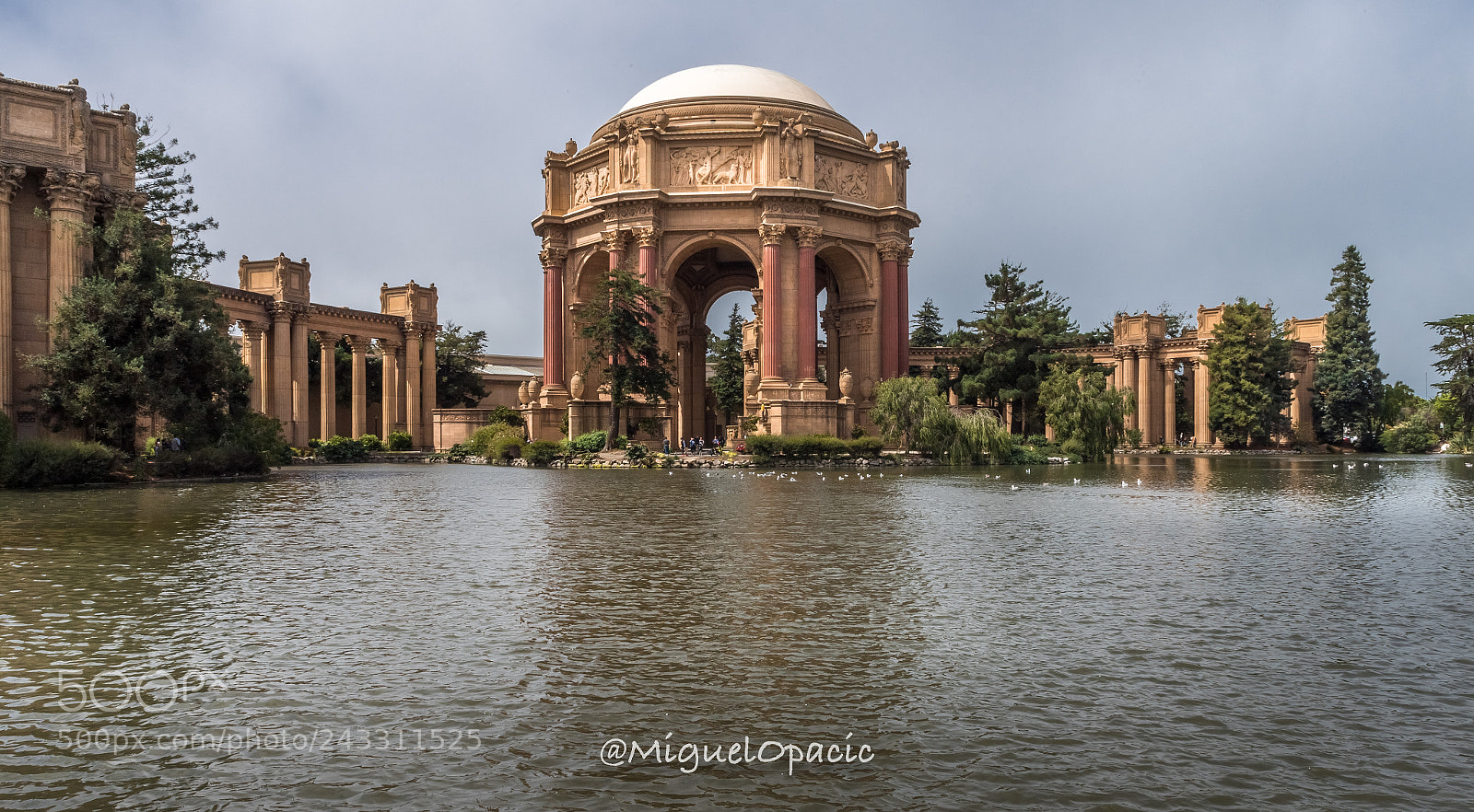 Nikon D5 sample photo. Museum of fine arts photography