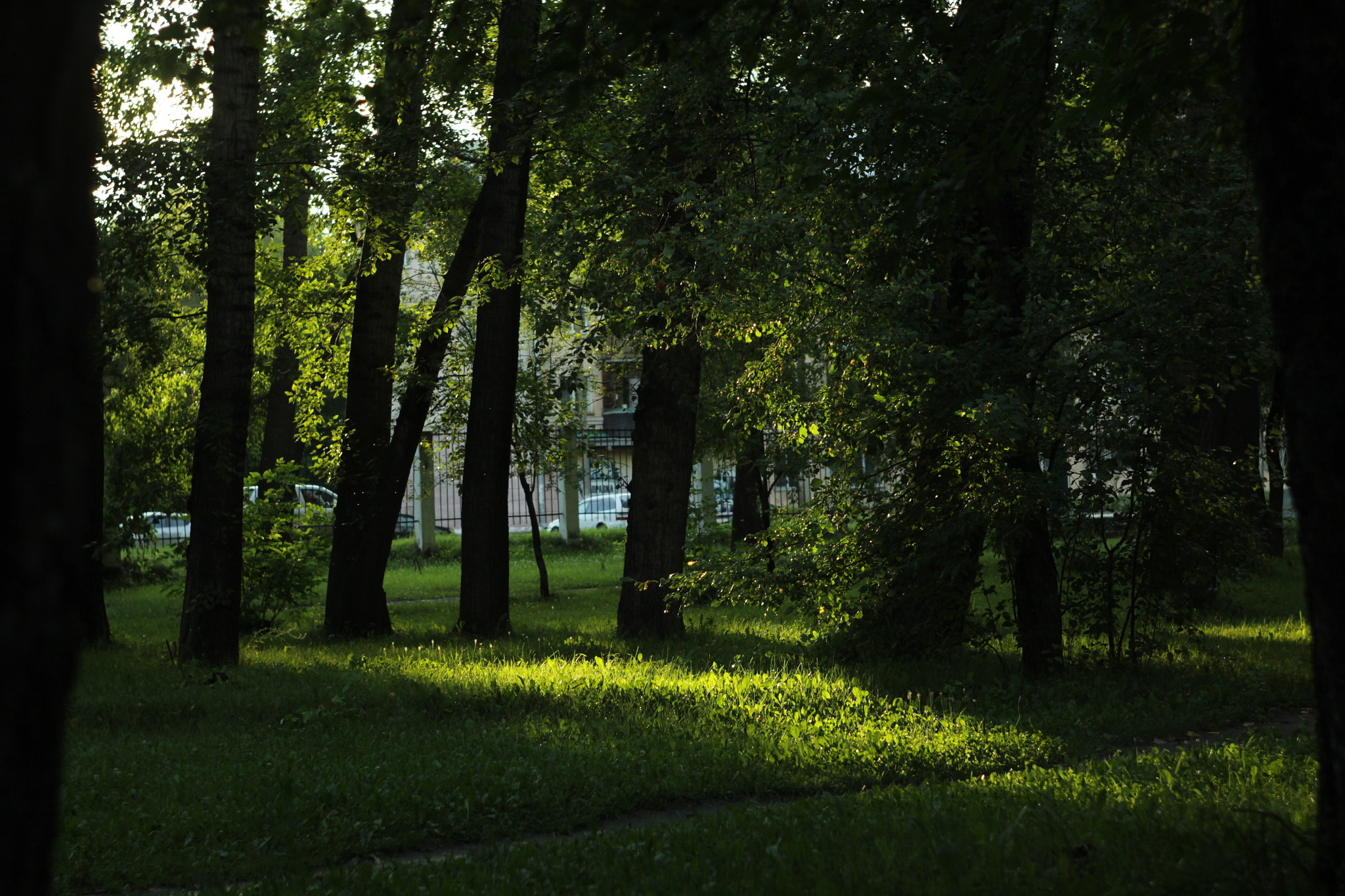 Canon EF 35-80mm f/4-5.6 sample photo. Вечер после дождя. photography