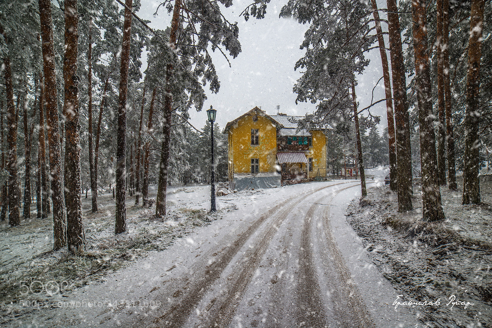 Nikon D600 sample photo. Zlatibor photography