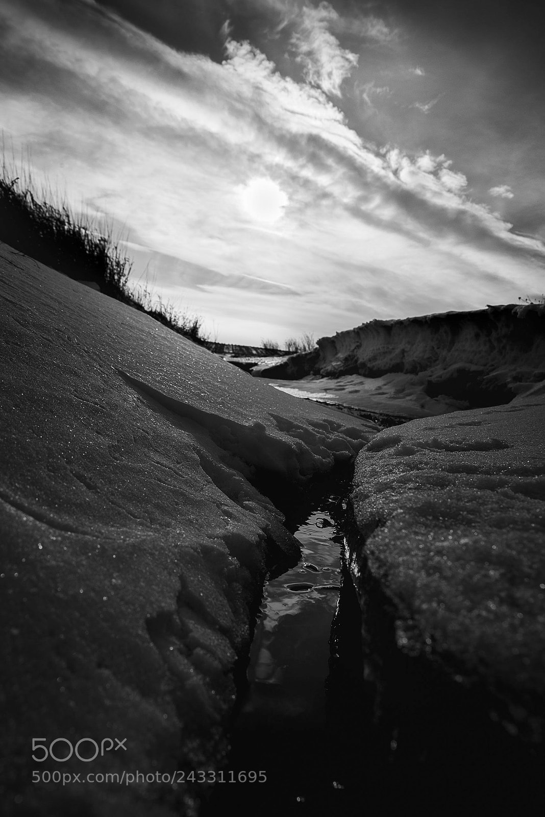Nikon D800E sample photo. Untitled photography