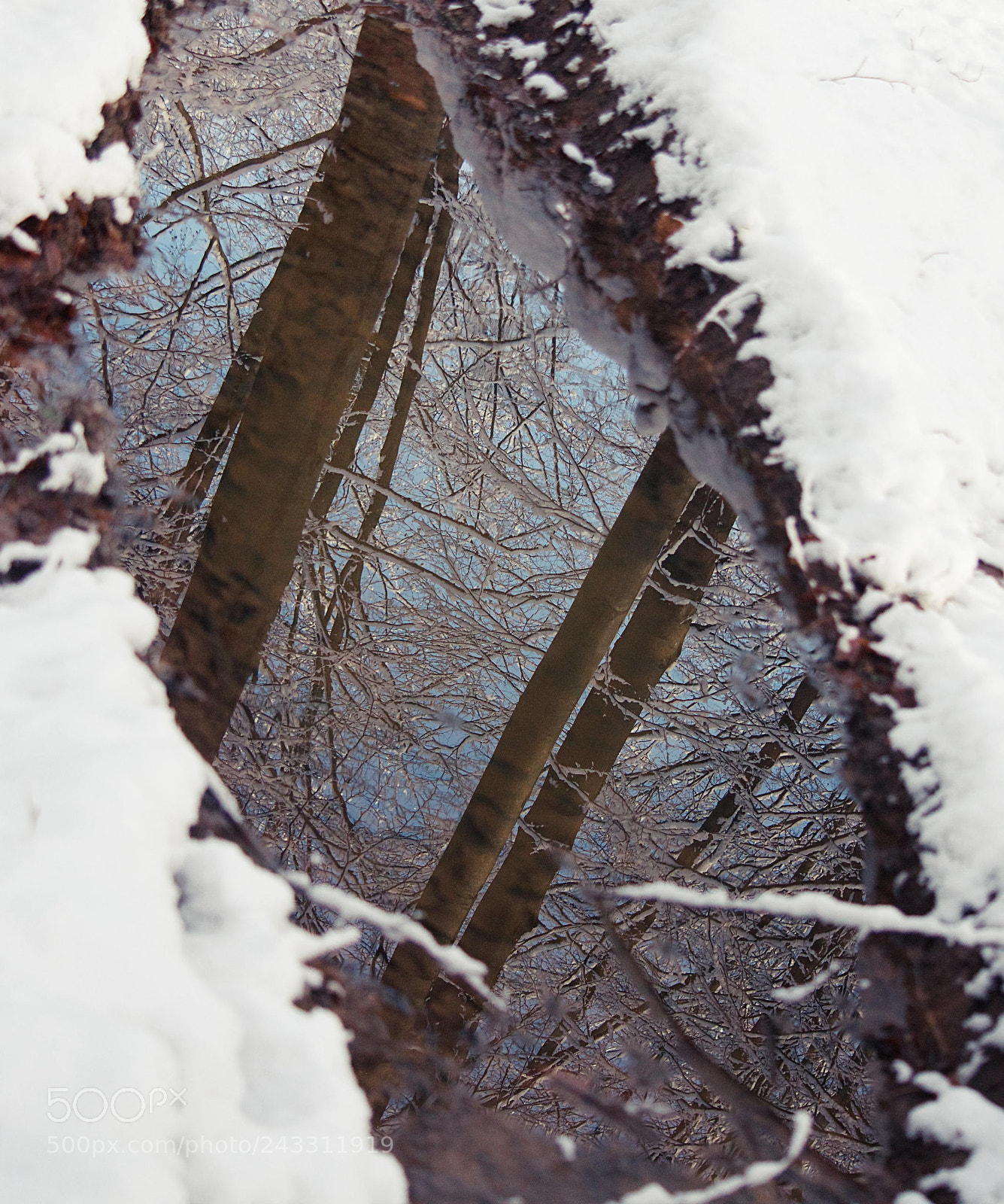 Nikon D5100 sample photo. Reflections mood photography
