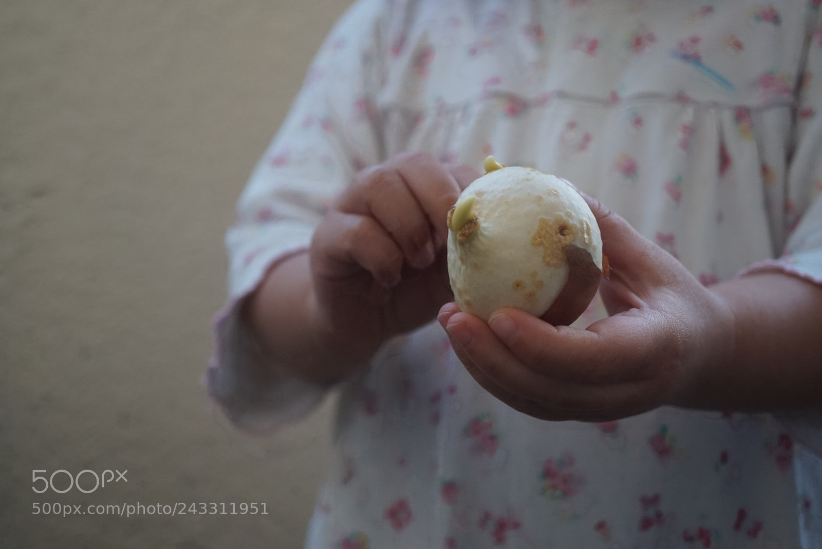 Sony Alpha a5000 (ILCE 5000) sample photo. Untitled photography